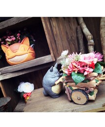 no brand | トトロ 🌱(その他)