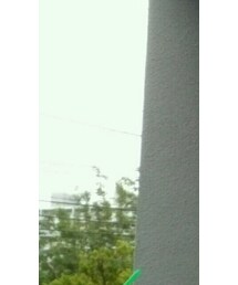 Boss Orange | トップス