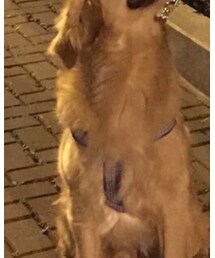 name taobao | その他