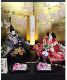 お雛様届いたよ🌸 | その他