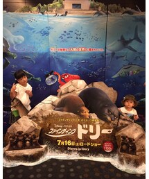 ドリーみてきた | その他