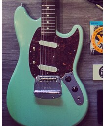 fender | その他