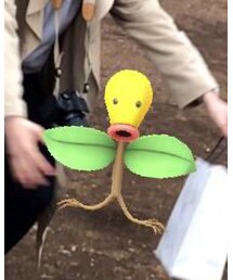 マダツボミ | その他