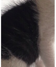 my puppy | その他