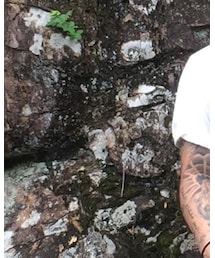 HYSTERIC GLAMOUR | Tシャツ/カットソー