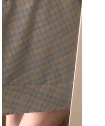 F i.n.t | スカート