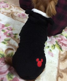 Disney | ララの部屋着(ペットウェア)