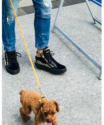 GIUSEPPE ZANOTTI DESIGN | その他シューズ