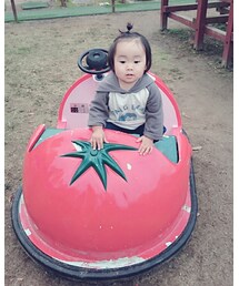 トマト大好ききいろマル！ | その他