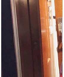 CHANEL | ショルダーバッグ