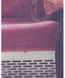 高円寺in電車の中 | その他