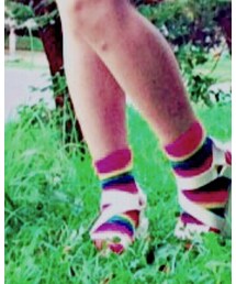 WEGO | ソックス/靴下