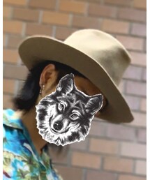 STETSON | ハット