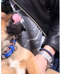 Supreme  | Tシャツ/カットソー