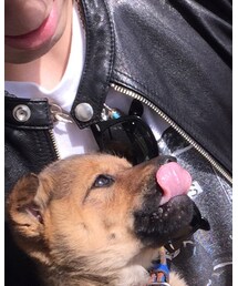 Ray-Ban | サングラス