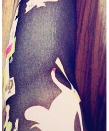 ワンピースとタイツのお店 | タイツ/ストッキング