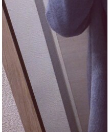 Cissyma | トップス