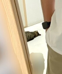 ねこ | その他