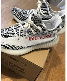 adidas | スニーカー