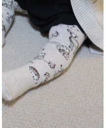 next | タイツ/ストッキング