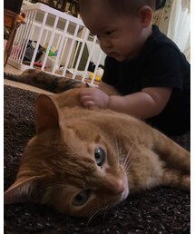 アサヒ | その他