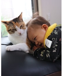 😻 | その他