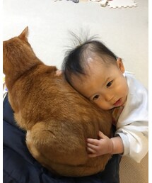 😻 | その他