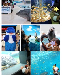 鴨川2日目 | その他