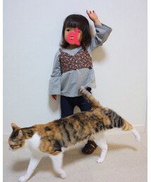 コムギ邪魔😹 | その他