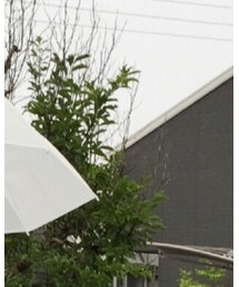 傘 | ファッション雑貨