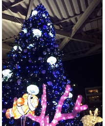 えのすいのツリー | その他