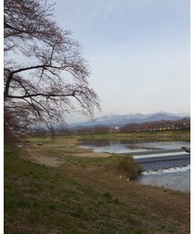 4/10午前中の一目千本桜🌸 | その他