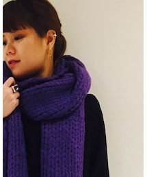 CEPIE. | マフラー