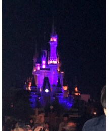 シンデレラ城 | その他