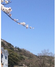 MadeinItaly | ライダースジャケット