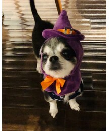 HAPPY HALLOWEEN 🧛‍♂️🦇👻❤️ | 雑貨/ホビー