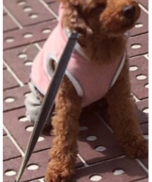 D.F.D | パーカー