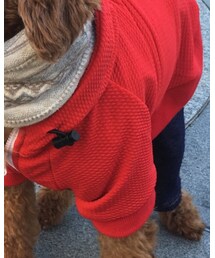 mandarin brothers | ジャージ