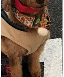 MANDARINE BROTHERS | タンクトップ