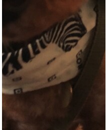 AWESOME store | マフラー