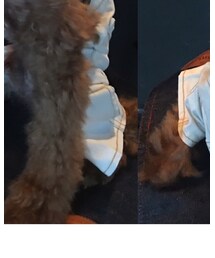 D’s CHAT | その他パンツ