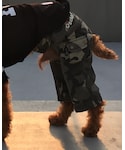 D’s CHATの「パンツ(デニムパンツ)」