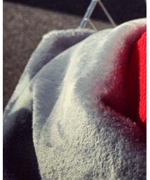 ニトリ | ペット用クッション/マット