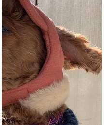 I.M.gallery | キャップ