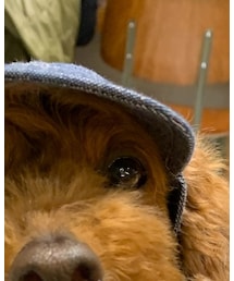 I.M.Gallery | キャップ