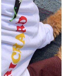 KELTY | Tシャツ/カットソー