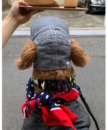 back style | その他