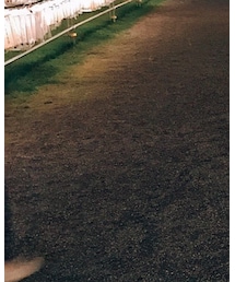 Daniel & Bob | ショルダーバッグ