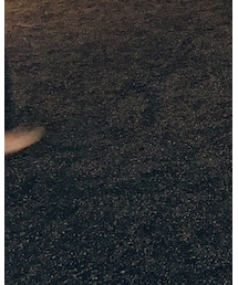 ZEPPELIN | アナログ腕時計