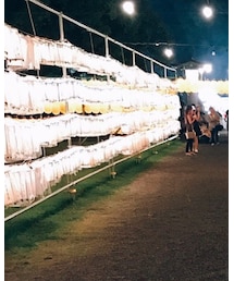 Rosetta | ネックレス